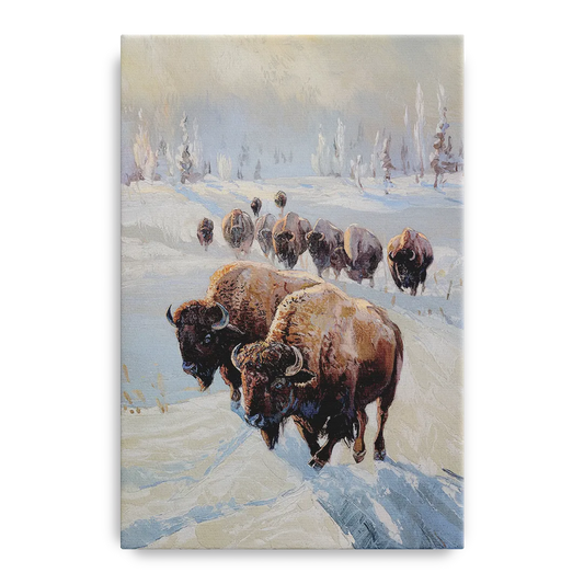 Buffalo Winter Wonderland - Canvas Wall Art