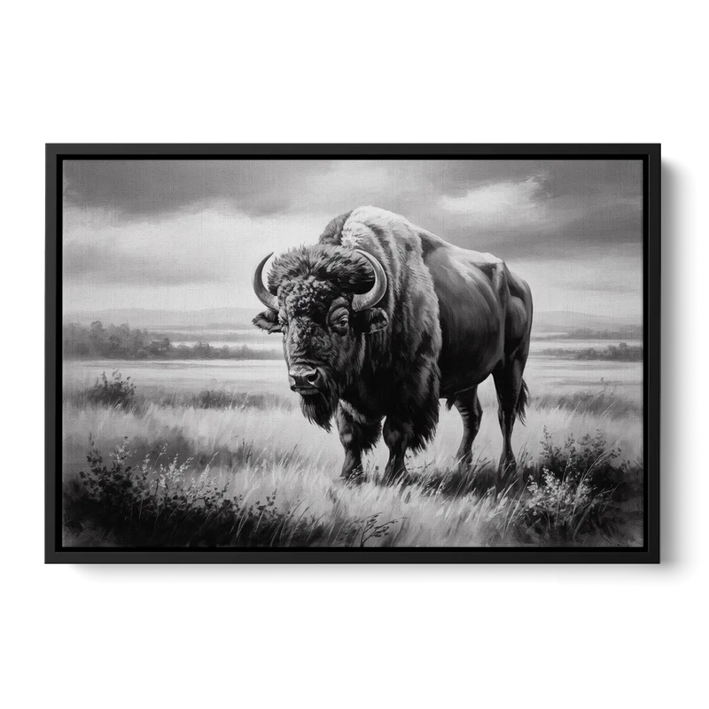 Classic Black and White Buffalo Front - Black Canvas Wall Art