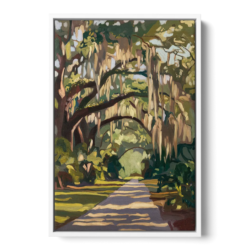 Savannah Oak Trees and Moss Front - White Canvas Wall Art