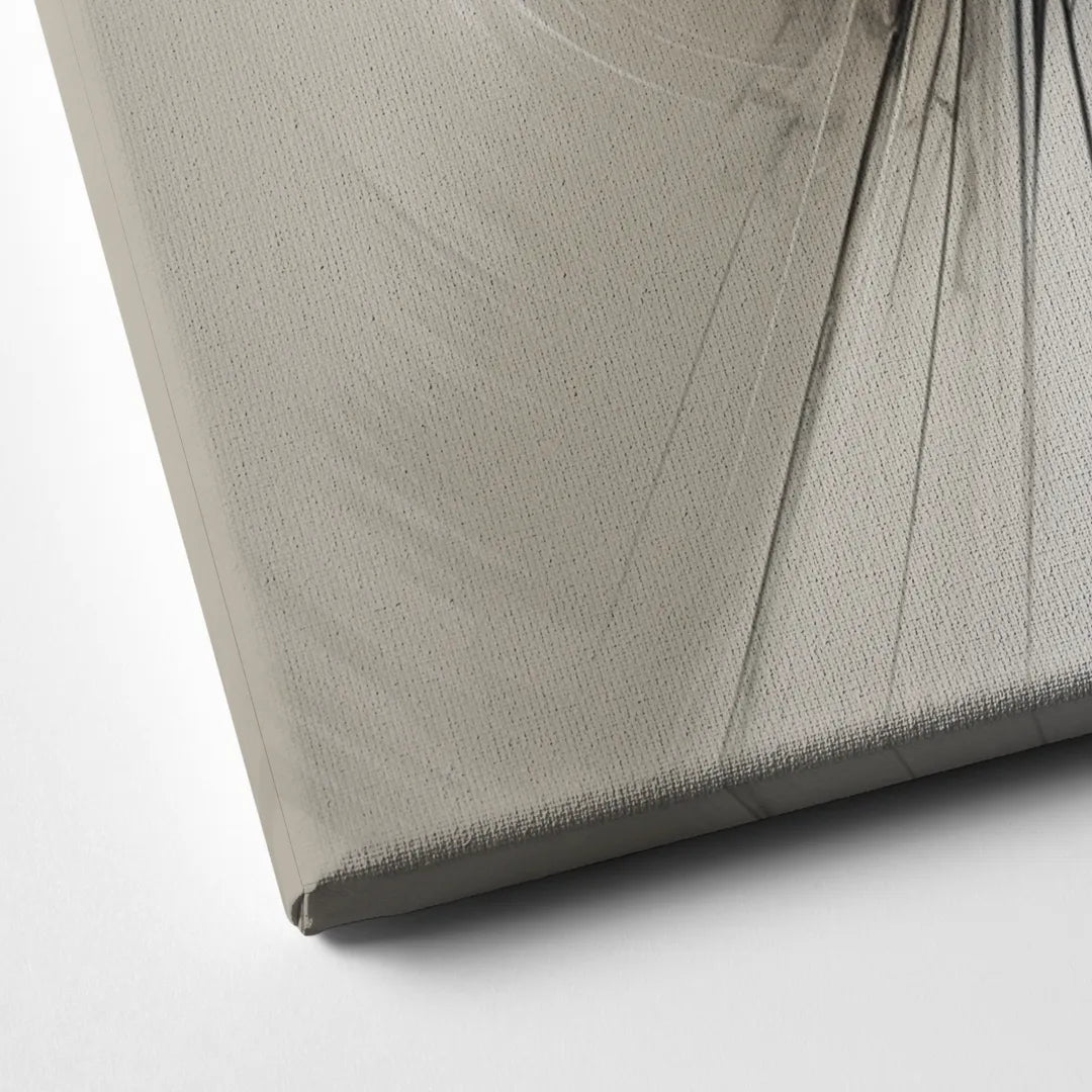 Sophisticated Interwoven Forms Black and White Abstract Canvas Close Up
