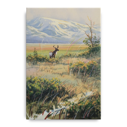 Frozen Tundra - Canvas Wall Art