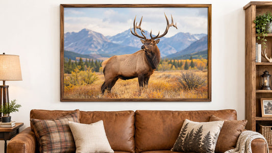 Bull Elk Picture Guide: Style, Size and Room Ideas