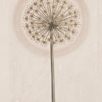 Minimalist Botanical
