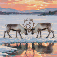Reindeer