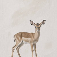 Safari Nursery