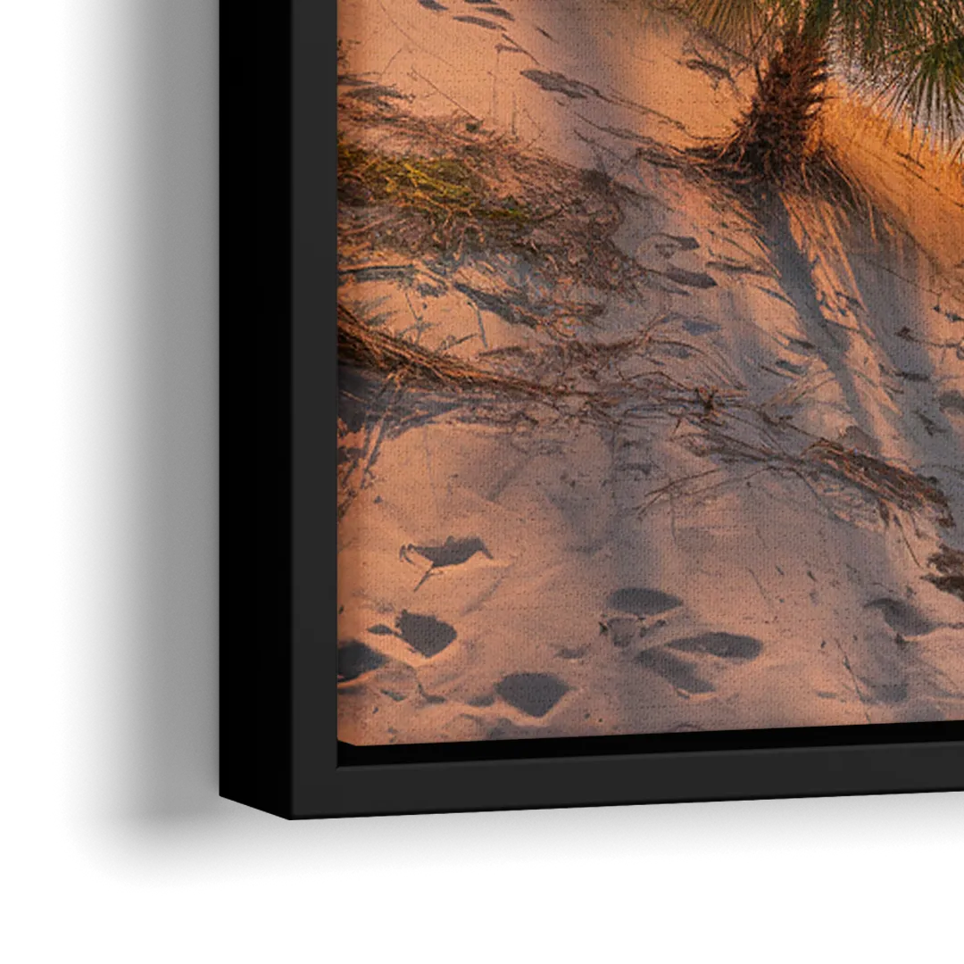 Jacksonville St. Johns River - Close-Up Black Frame Canvas