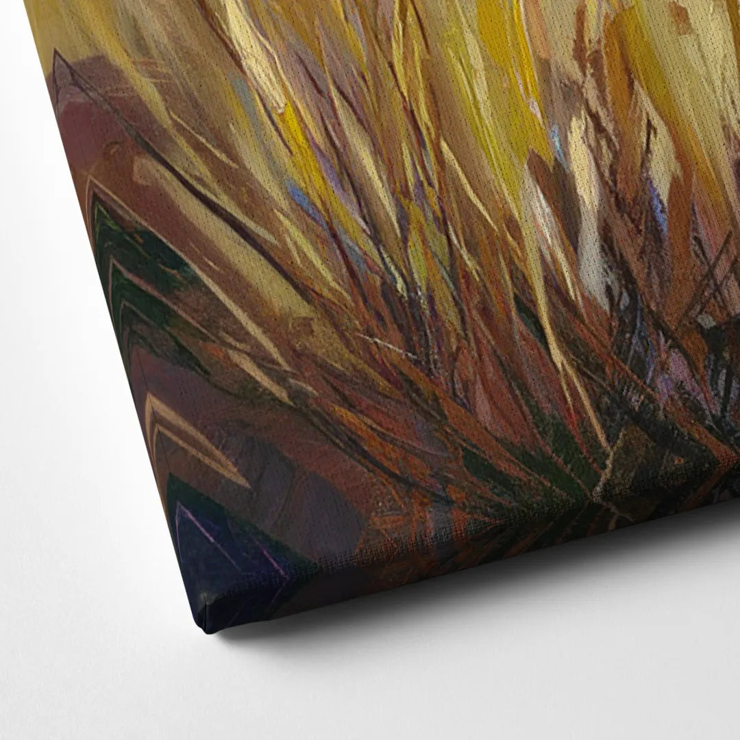 San Jose Scenic Sunset Canvas Close Up