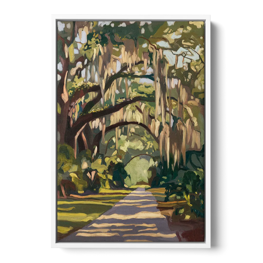 Savannah Oak Trees and Moss - White Frame Canvas