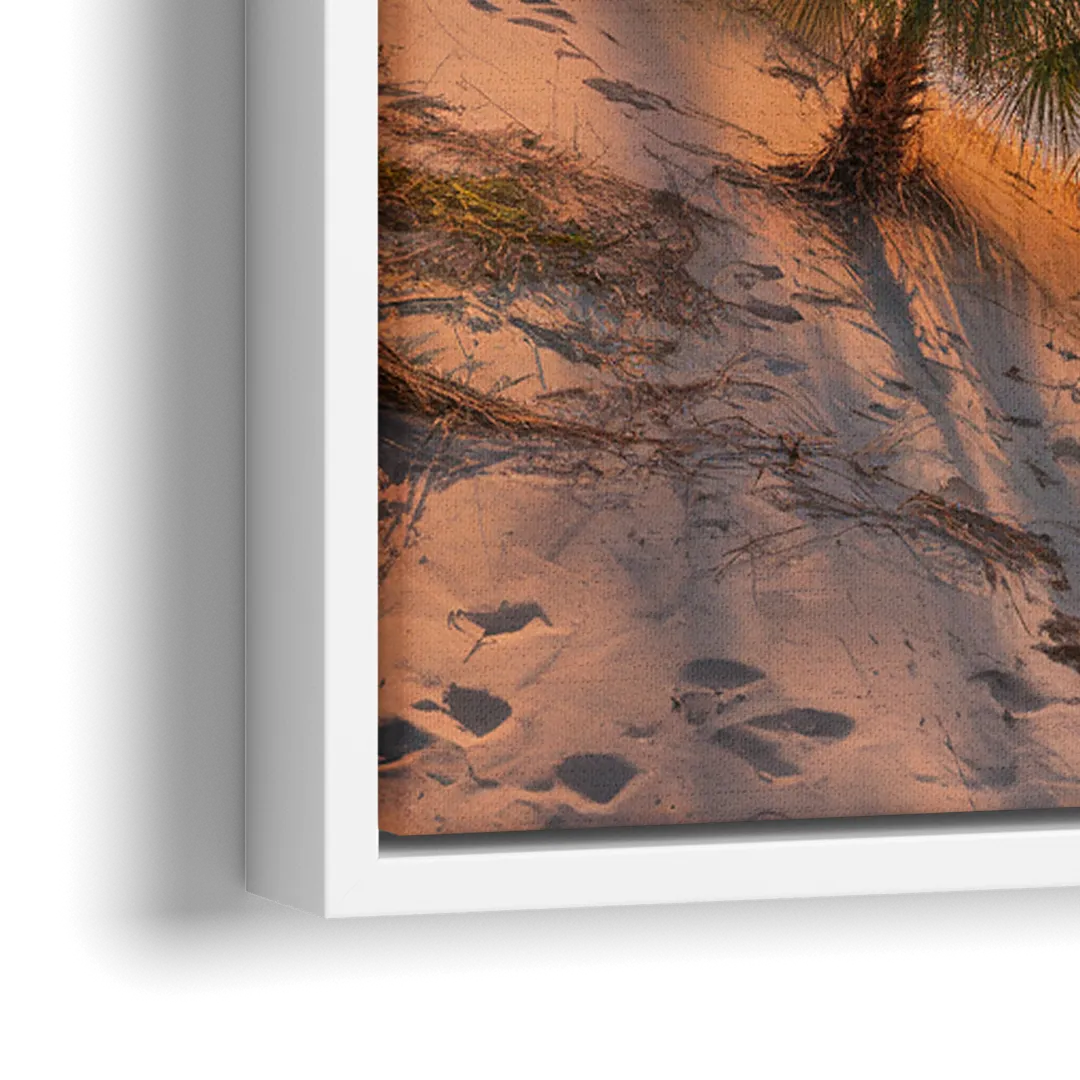 Jacksonville St. Johns River - Close-Up White Frame Canvas