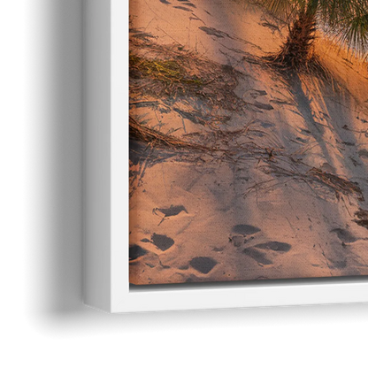 Jacksonville St. Johns River - Close-Up White Frame Canvas