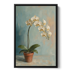 Arching White Moth Orchid Flower - Black Framed Canvas Wall Art - Front