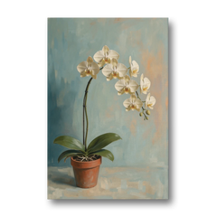 Arching White Moth Orchid Flower - Canvas Wall Art - Front