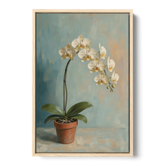 Arching White Moth Orchid Flower - Oak Framed Canvas Wall Art - Front