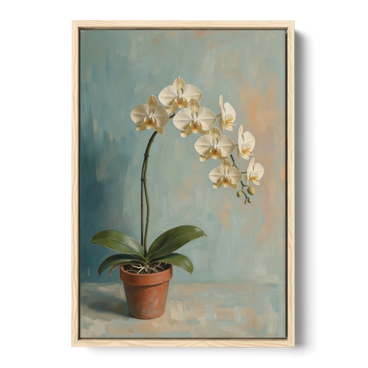 Arching White Moth Orchid Flower - Oak Framed Canvas Wall Art - Front