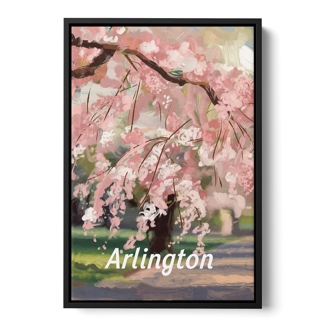 Arlington Cherry Blossoms Front - Black Canvas Wall Art