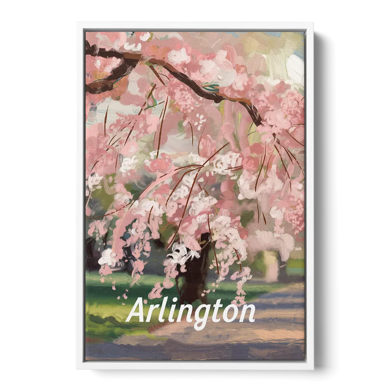 Arlington Cherry Blossoms Front - White Canvas Wall Art