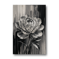 Black and White Peony Wall Art in Full Bloom - Canvas Wall Art - Front