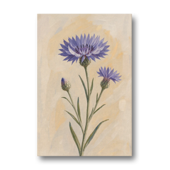 Botanical Wall Art Set of 3 with Wild Cornflower - Canvas Wall Art - Front