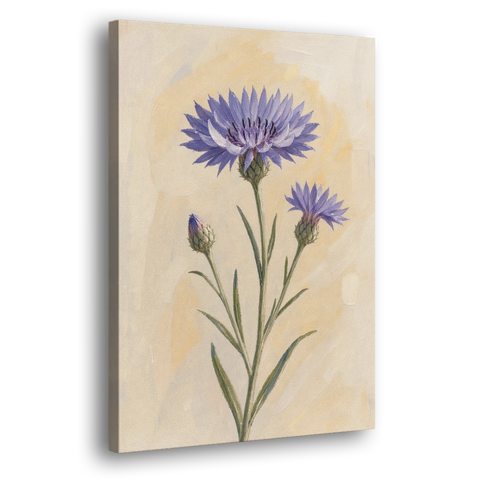 Botanical Wall Art Set of 3 with Wild Cornflower - Canvas Wall Art - Side