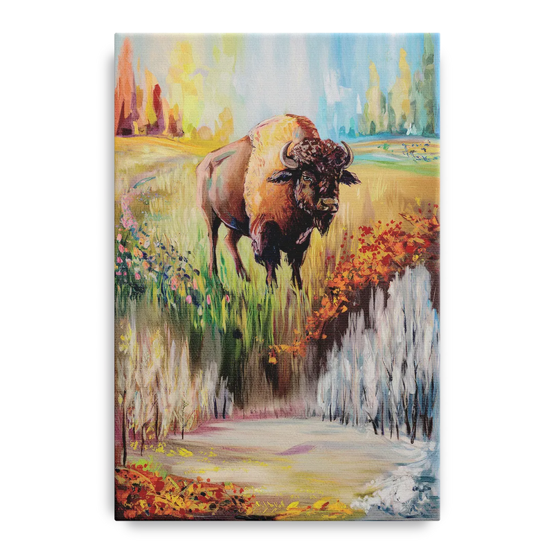 Buffalo All Seasons Beauty Front - Canvas Wall Art