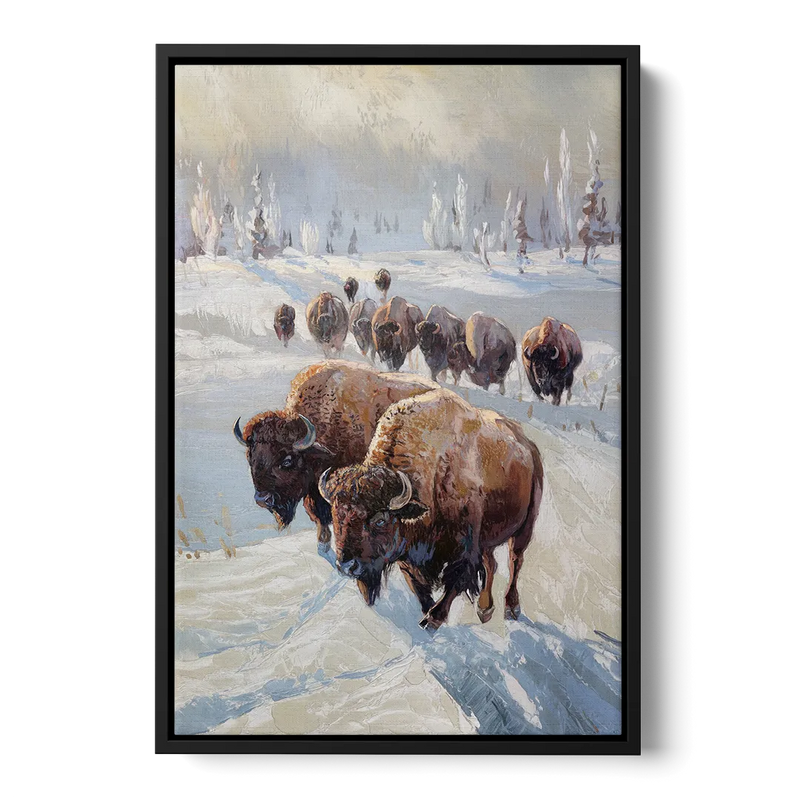Buffalo Winter Wonderland Front - Black Canvas Wall Art