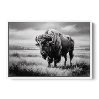 Classic Black and White Buffalo - White Frame Canvas