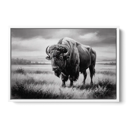 Classic Black and White Buffalo Front - White Canvas Wall Art