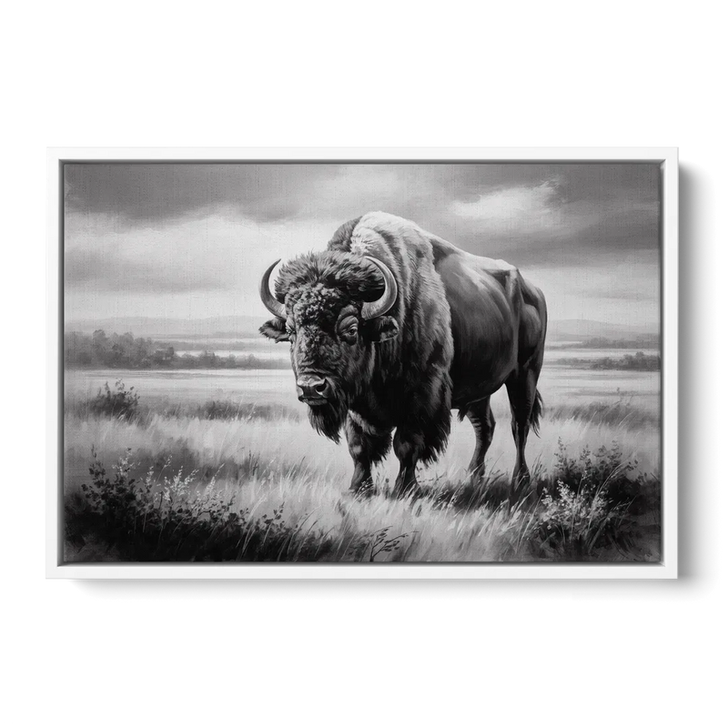 Classic Black and White Buffalo Front - White Canvas Wall Art