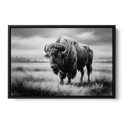 Classic Black and White Buffalo - Black Frame Canvas