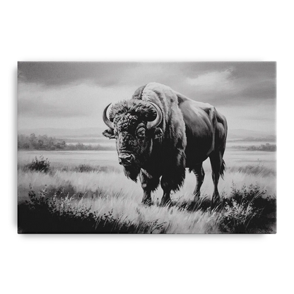 Classic Black and White Buffalo Front - Canvas Wall Art