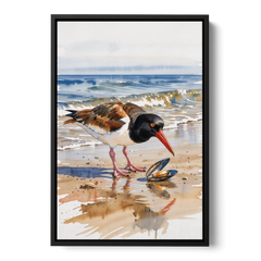 Coastal Bird Oystercatcher and the Open Mussel - Black Framed Canvas Wall Art - Front