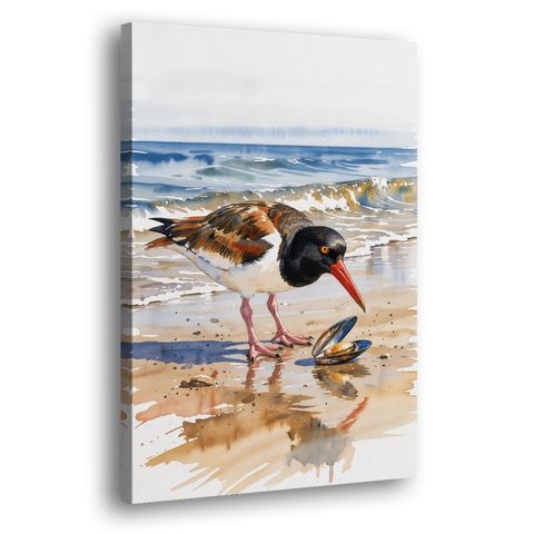 Coastal Bird Oystercatcher and the Open Mussel - Canvas Wall Art - Side