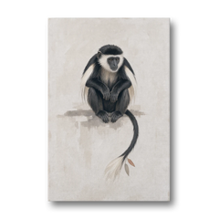 Contemporary Nursery Wall Art with a Colobus Monkey - Canvas Wall Art - Front