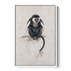 Contemporary Nursery Wall Art with a Colobus Monkey - White Framed Canvas Wall Art - Front