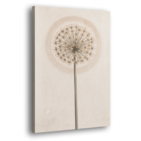 Dried Allium Seedhead on a Tall Stem - Canvas Wall Art - Side