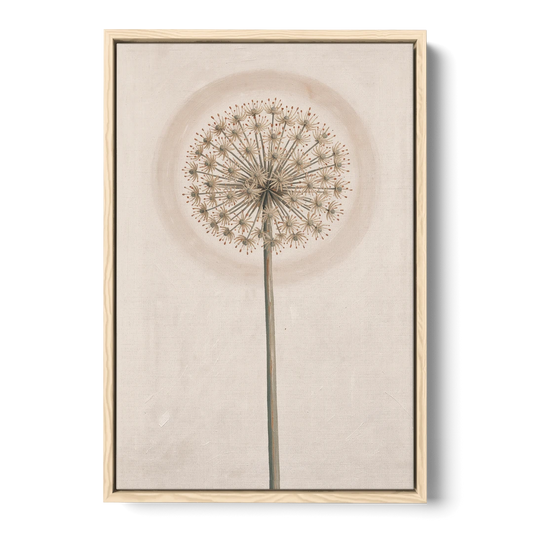Dried Allium Seedhead on a Tall Stem - Oak Framed Canvas Wall Art - Front