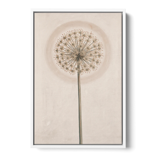 Dried Allium Seedhead on a Tall Stem - White Framed Canvas Wall Art - Front