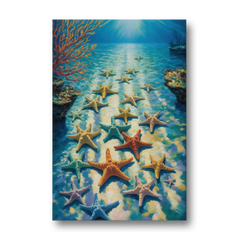 El Cielo Starfish Shallows - Canvas Wall Art - Front