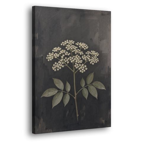 Elderflower Painting on a Dark Field - Canvas Wall Art - Side