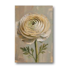 Flower Wall Art with a Cream Ranunculus - Canvas Wall Art - Front