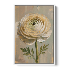 Flower Wall Art with a Cream Ranunculus - White Framed Canvas Wall Art - Front