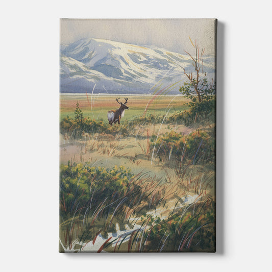 Frozen Tundra - Canvas Wall Art