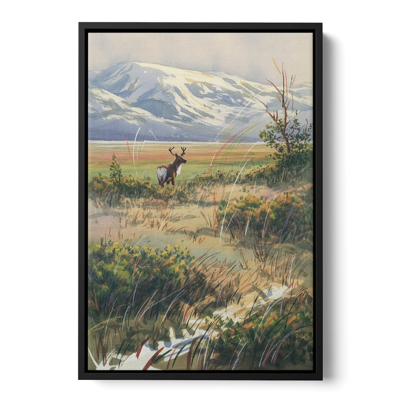 Frozen Tundra Front - Black Canvas Wall Art
