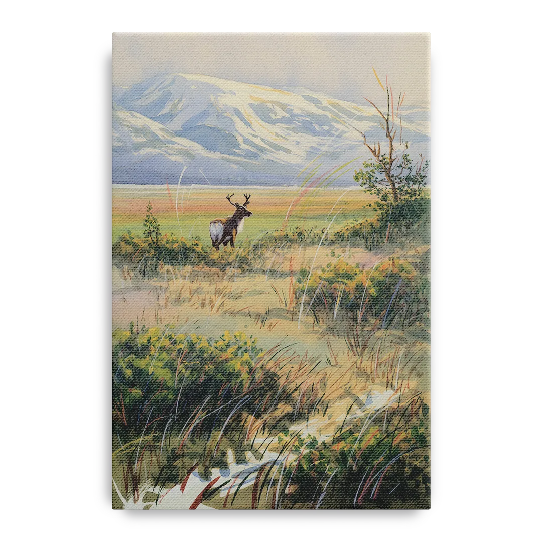 Frozen Tundra Front - Canvas Wall Art