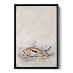 Gazelle Fawn Lying Low in Hiding - Black Framed Canvas Wall Art - Front
