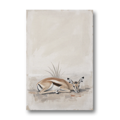 Gazelle Fawn Lying Low in Hiding - Canvas Wall Art - Front