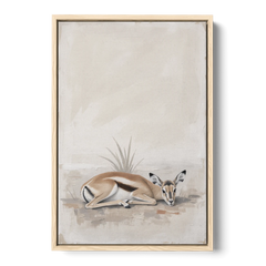 Gazelle Fawn Lying Low in Hiding - Oak Framed Canvas Wall Art - Front
