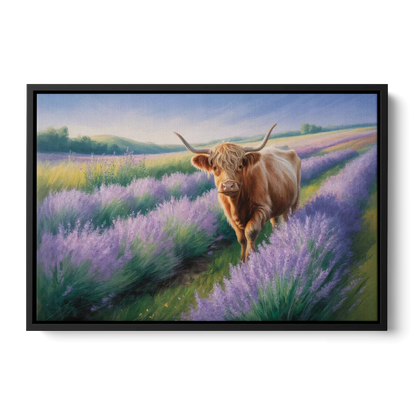 Highland Cow in Lavender Field Front - Black Canvas Wall Art