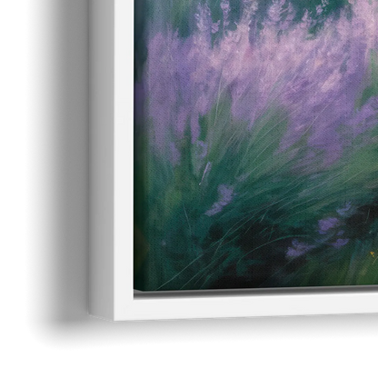 Highland Cow in Lavender Field - Close-Up White Frame Canvas
