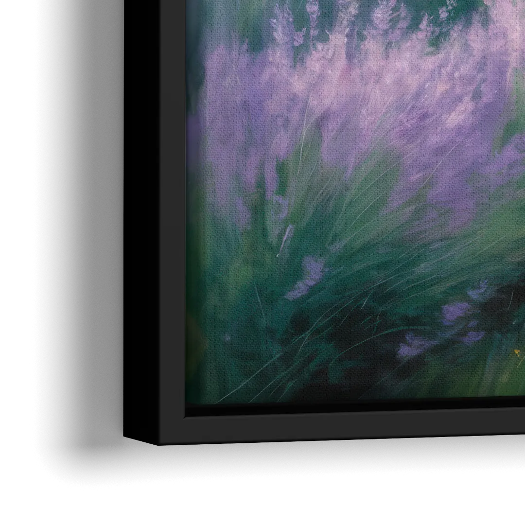 Highland Cow in Lavender Field - Close-Up Black Frame Canvas